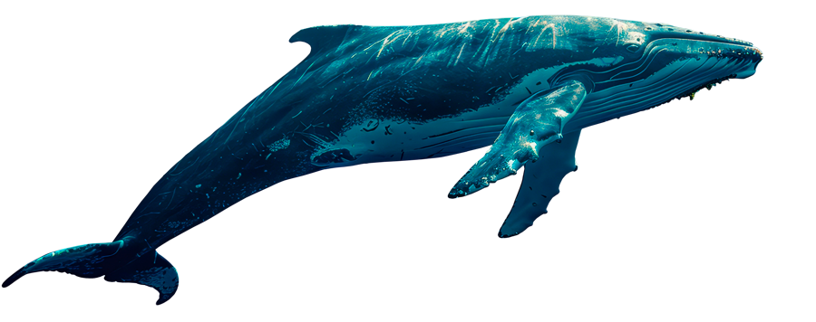 Ballena